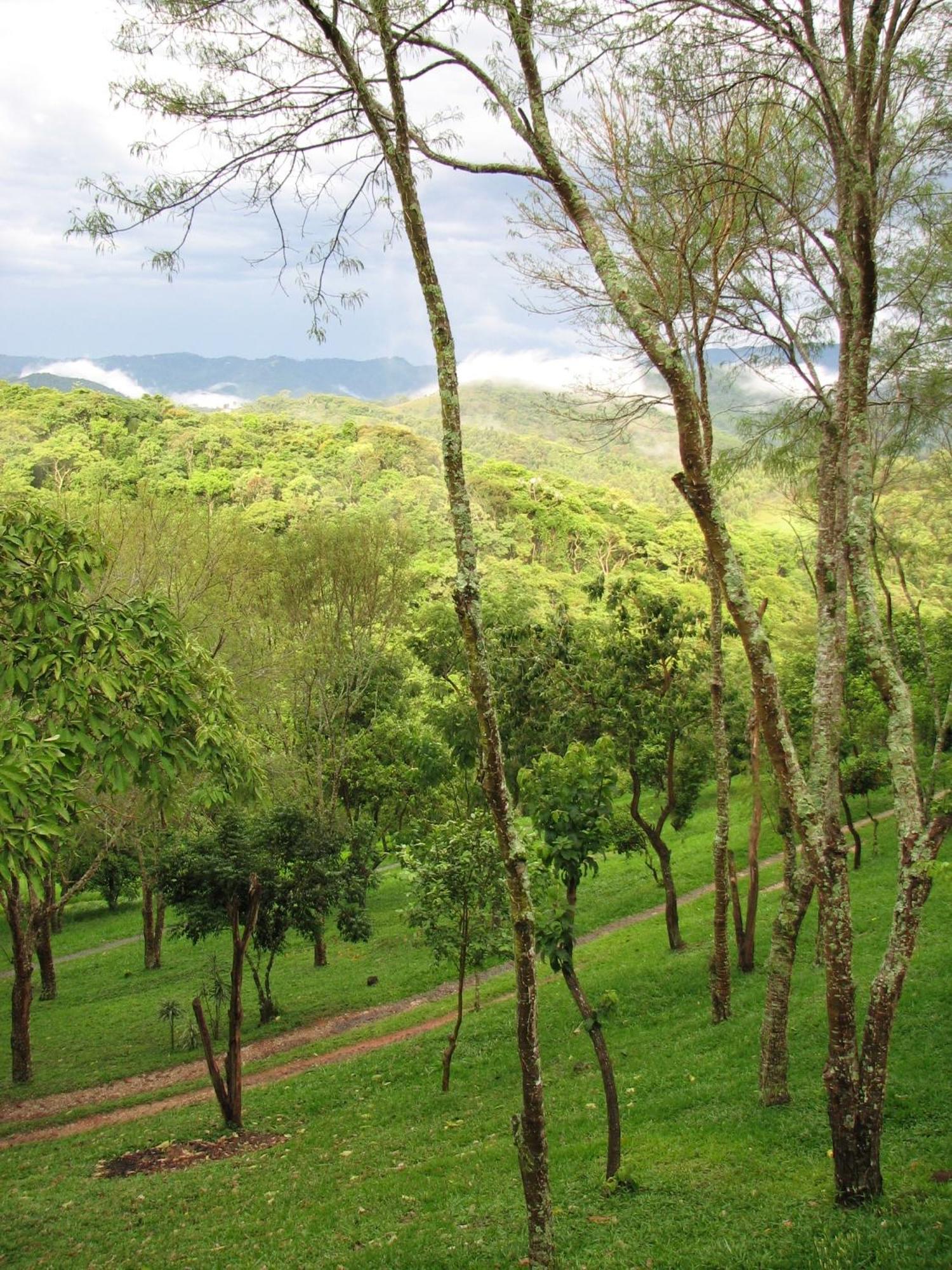 Champagny Pousada Santo Antônio do Pinhal Dış mekan fotoğraf
